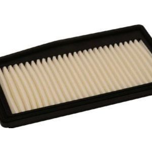 GM 96910360 Element,Air Cleaner