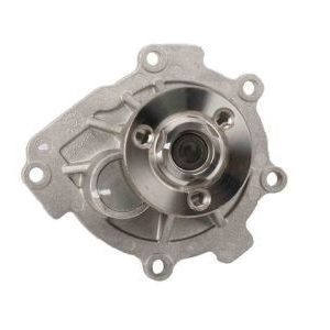 GM 25195119 Water Pump Assembly