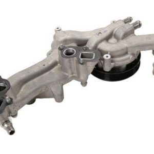 GM 12700555 Water Pump Assembly (W/ Manif)