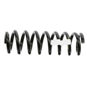 GM 23426904 Front Coil Spring