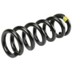 GM 23426903 Front Coil Spring