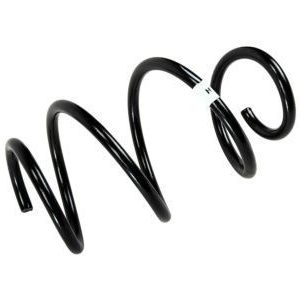 GM 84186923 Front Coil Spring