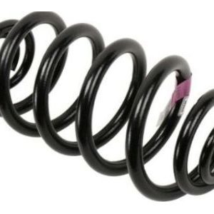 GM 13312084 Rear Spring