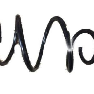 GM 84186924 Front Coil Spring