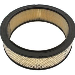 GM 6484235 Element,Air Cleaner