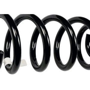 GM 23312162 Front Coil Spring