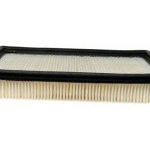 GM 19259030 Element Pkg,Air Cleaner
