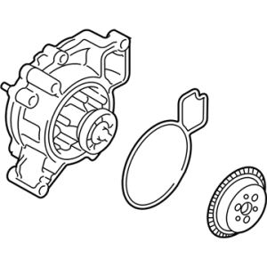 GM 12709178 Pump Kit, Wat